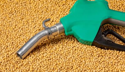 Biofuel Purification Sieves Explained: Technology and Methods